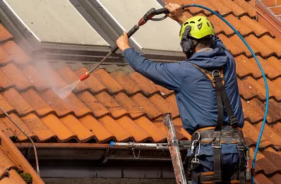 Démoussage et hydrofuge de toiture à Genainville